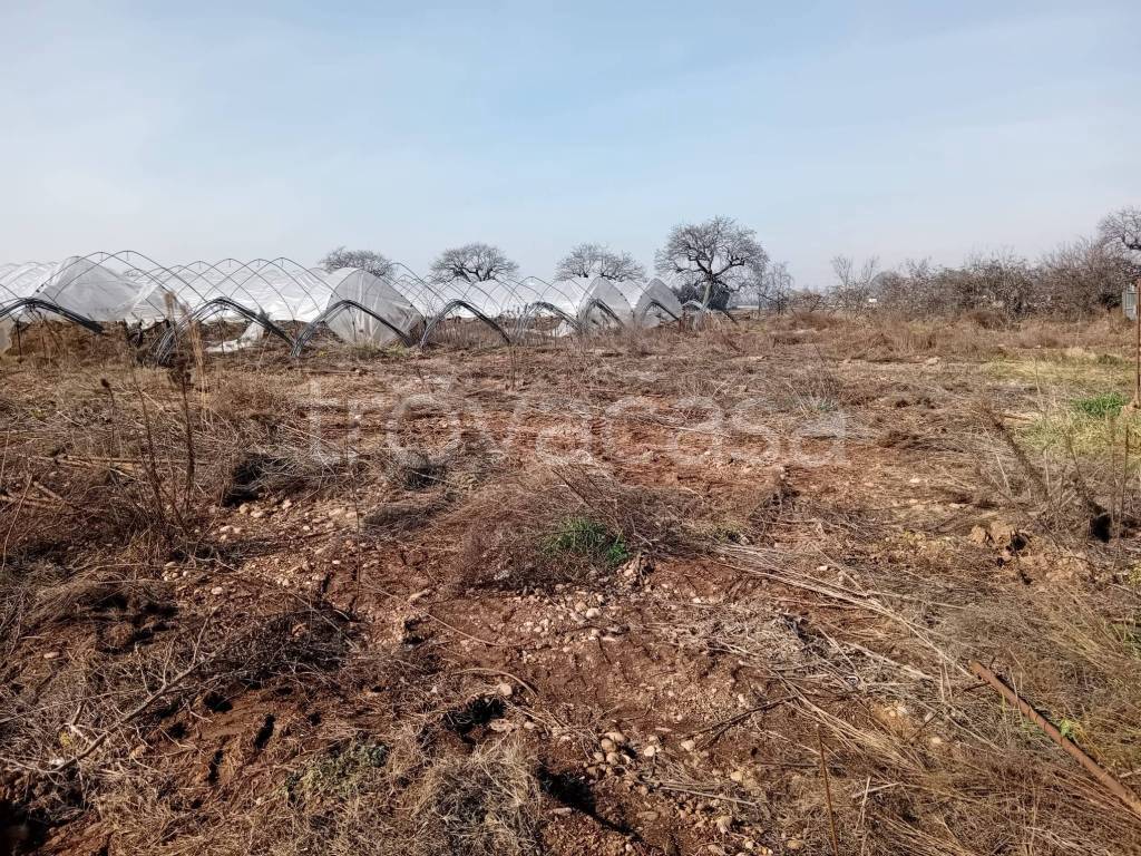 immagine annuncio 6 di 8