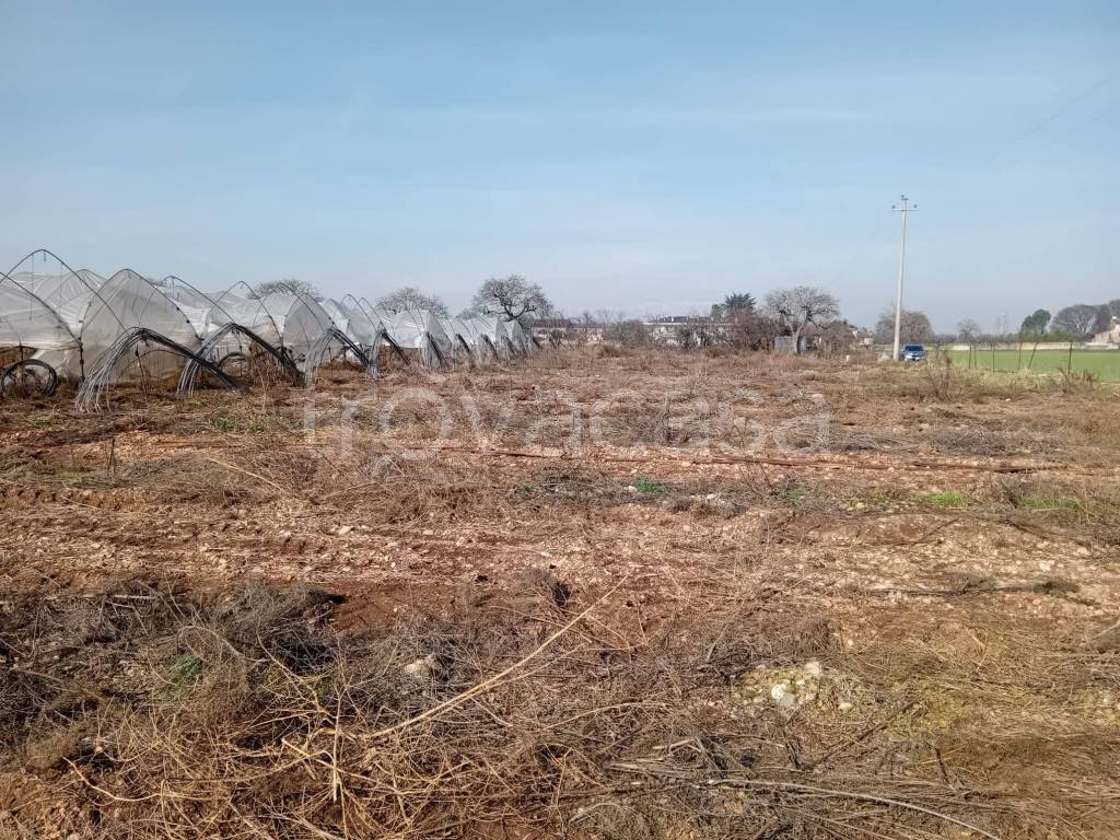 immagine annuncio 7 di 8