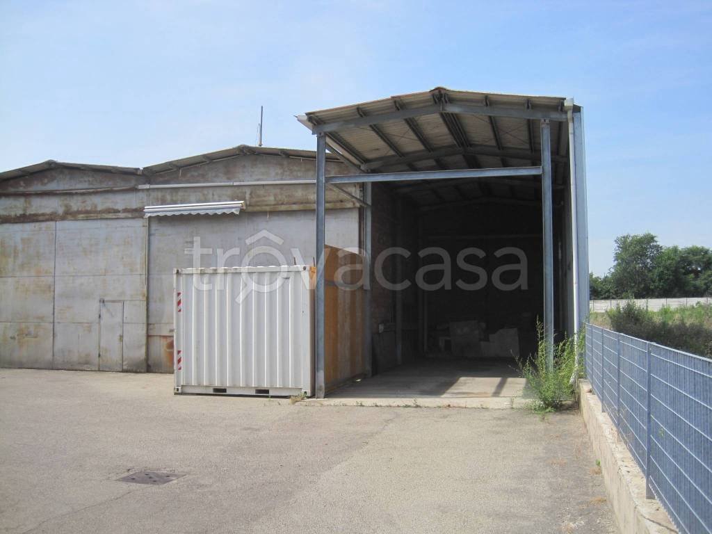 immagine annuncio 3 di 8