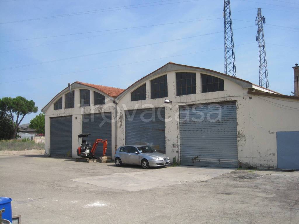 immagine annuncio 4 di 8