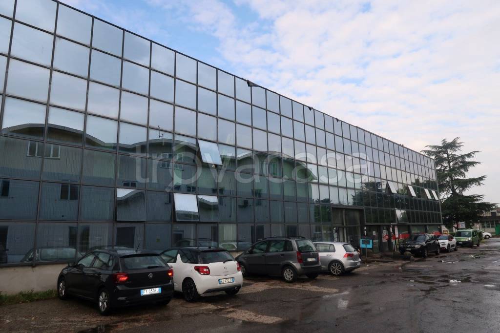 immagine annuncio 1 di 13