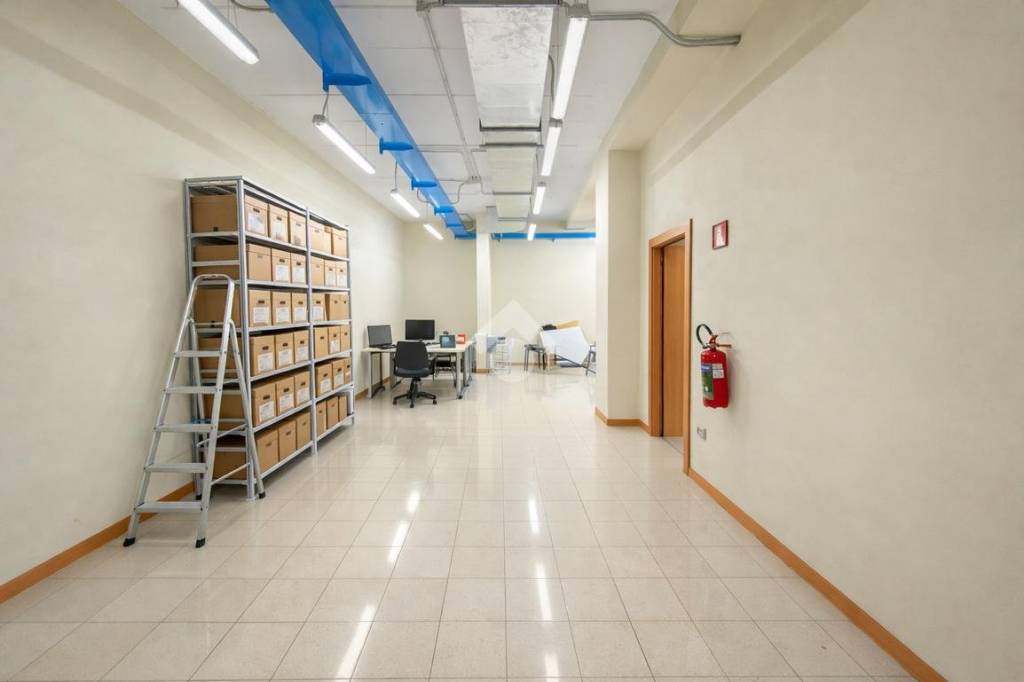 immagine annuncio 5 di 12