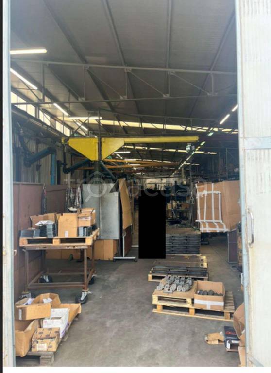 immagine annuncio 3 di 11