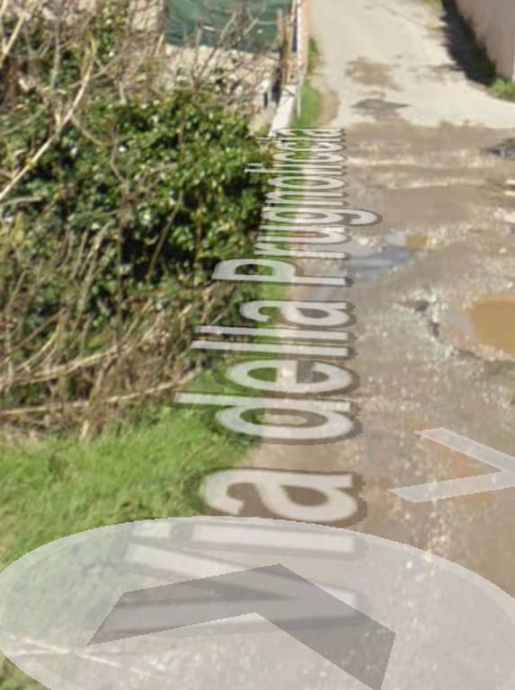 immagine annuncio 5 di 12