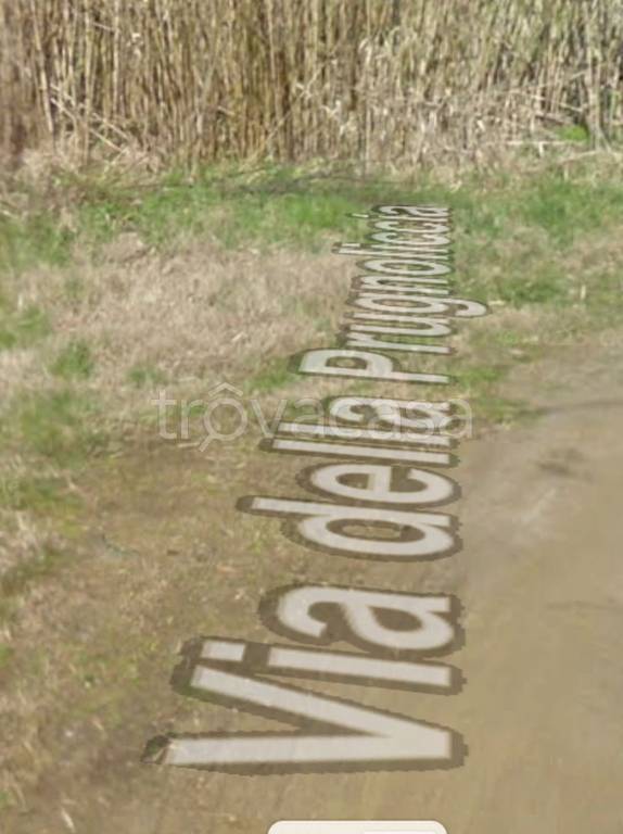 immagine annuncio 8 di 12