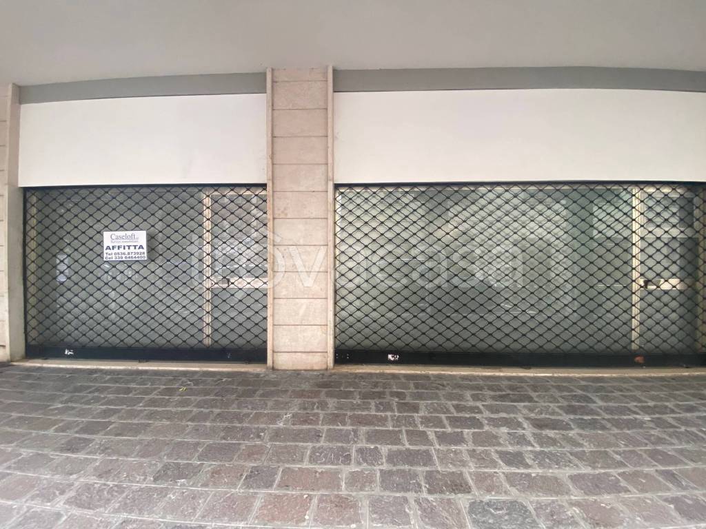 immagine annuncio 11 di 14