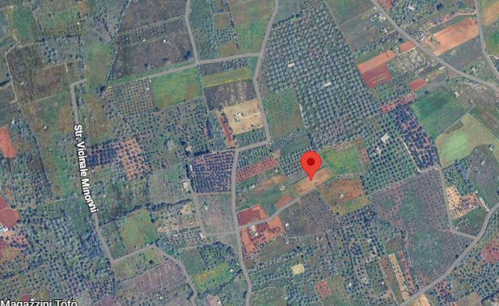 immagine annuncio 3 di 11