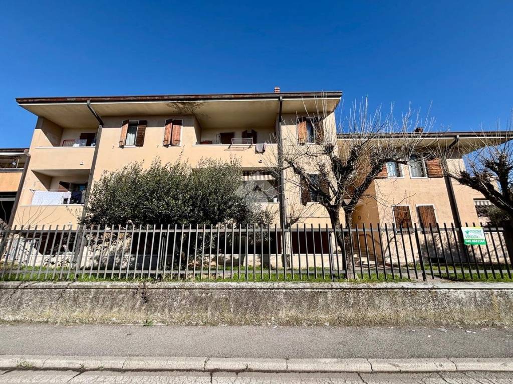 immagine annuncio 3 di 15