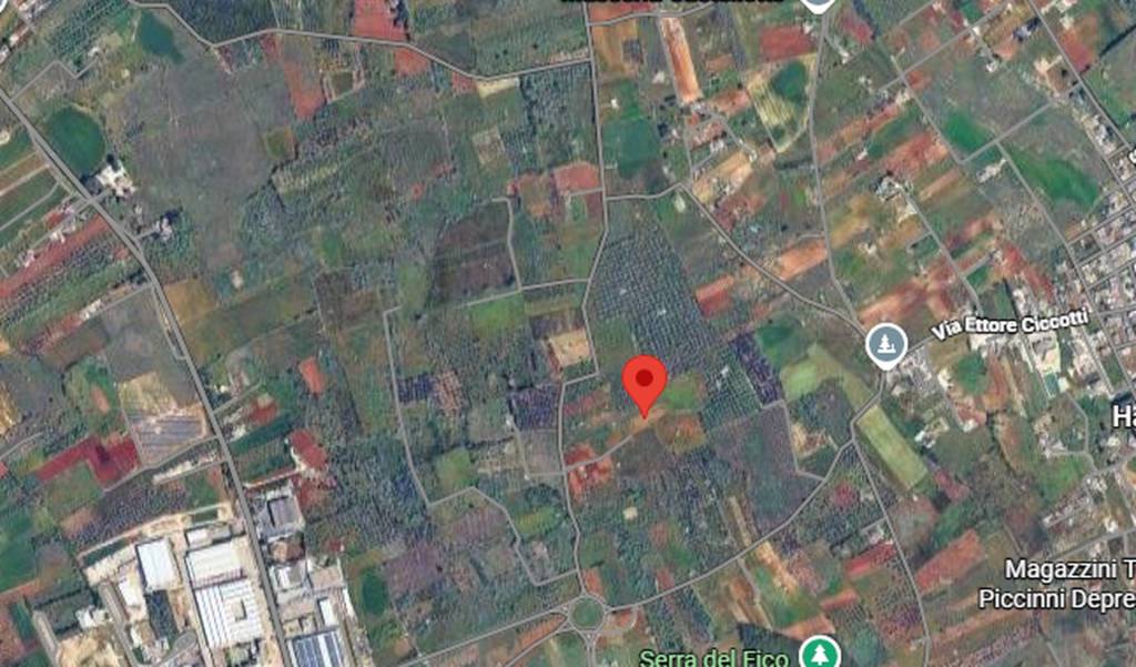 immagine annuncio 4 di 11