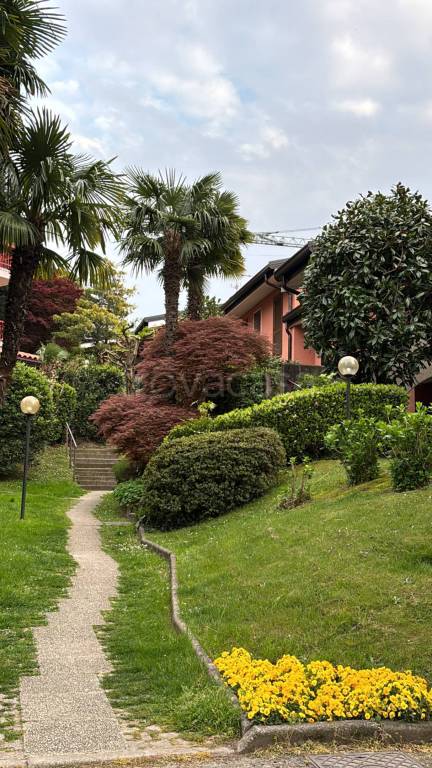 immagine annuncio 1 di 7