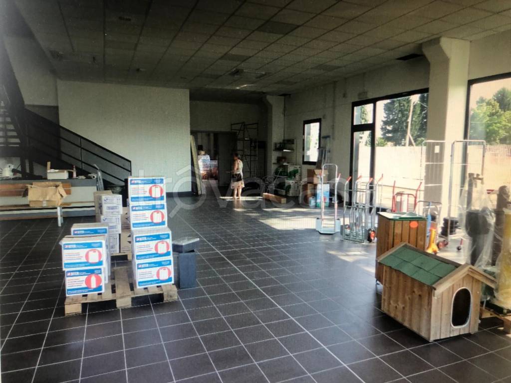 immagine annuncio 1 di 10