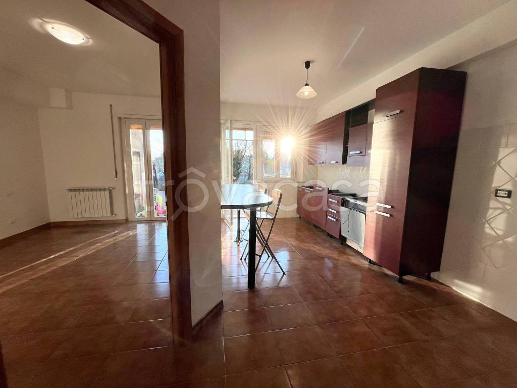 immagine annuncio 6 di 12