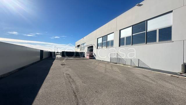 immagine annuncio 2 di 13