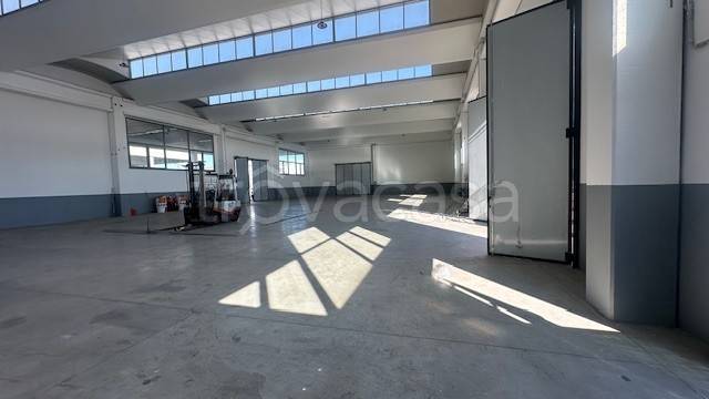 immagine annuncio 7 di 13