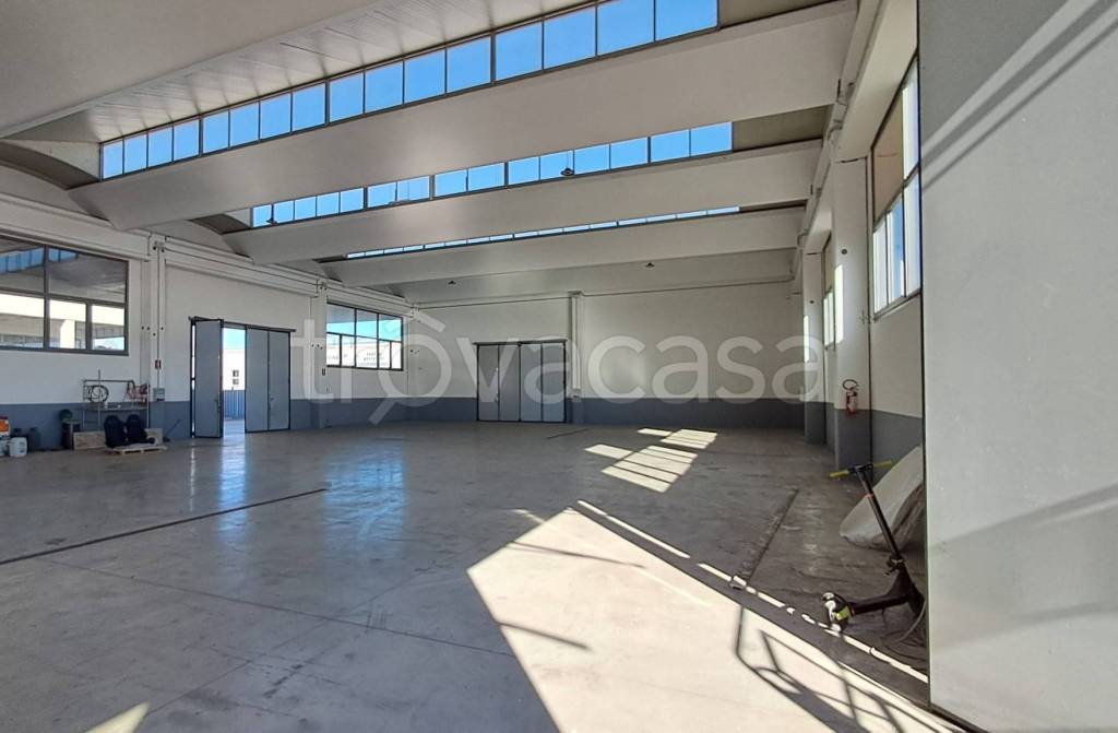 immagine annuncio 6 di 13