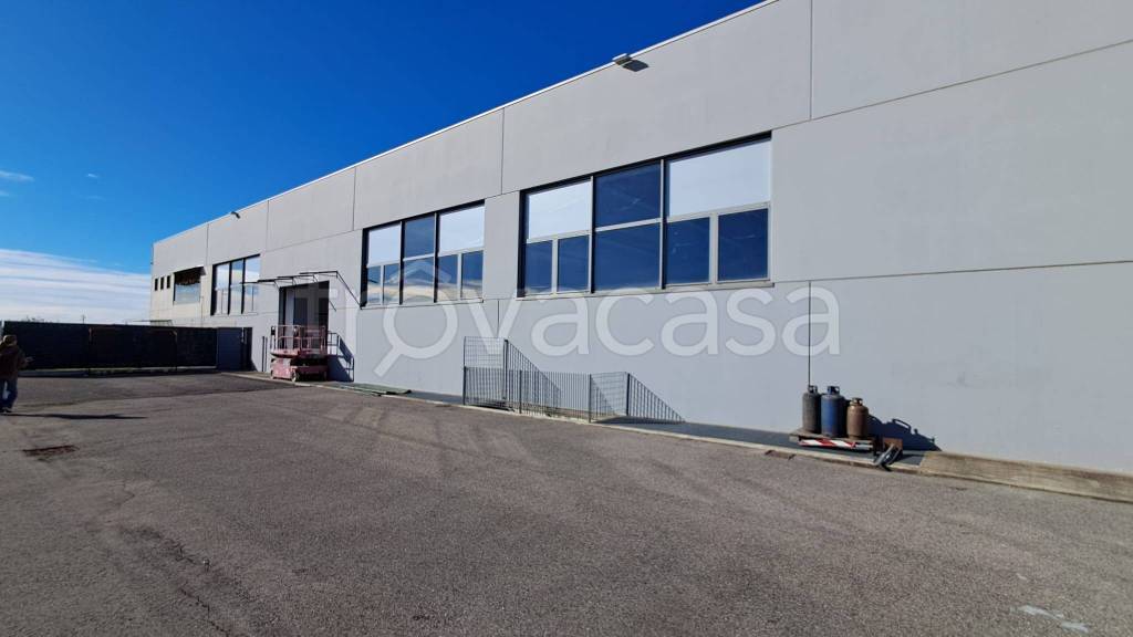 immagine annuncio 4 di 13