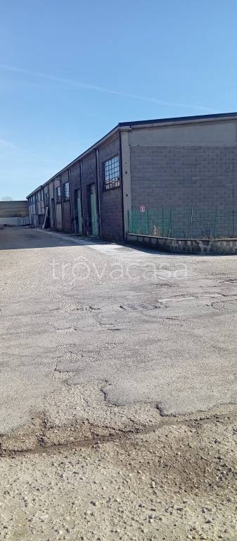 immagine annuncio 4 di 6