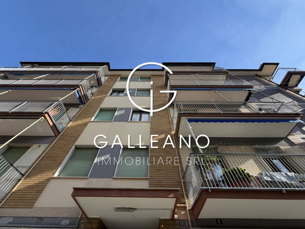 immagine annuncio 9 di 14