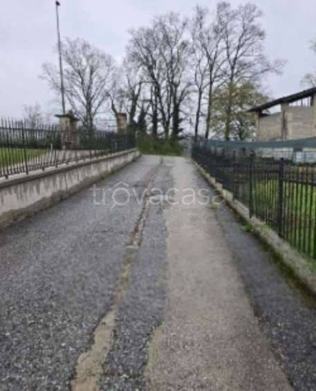 immagine annuncio 2 di 11