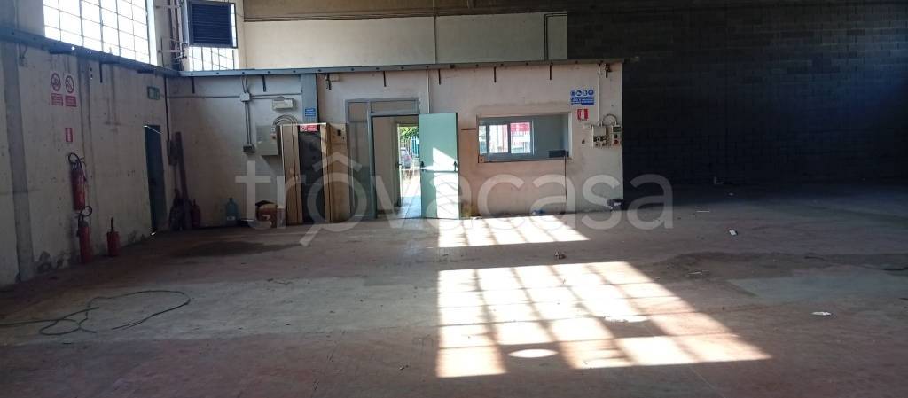 immagine annuncio 2 di 6