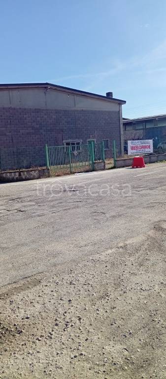 immagine annuncio 3 di 6