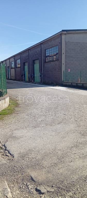 immagine annuncio 5 di 6