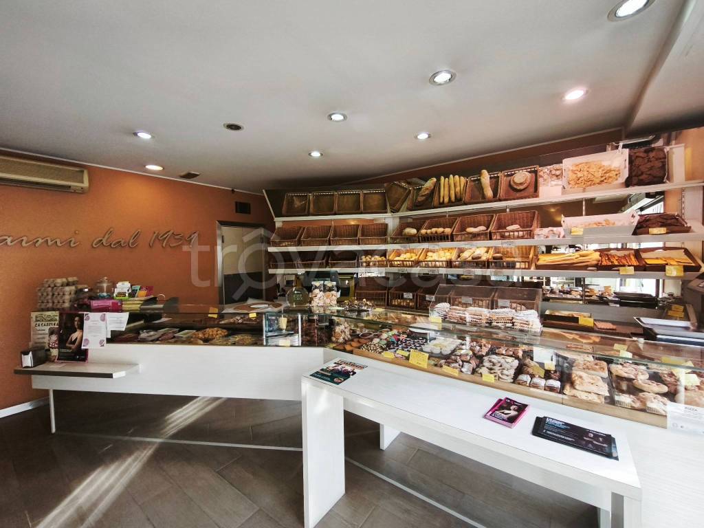 immagine annuncio 2 di 6