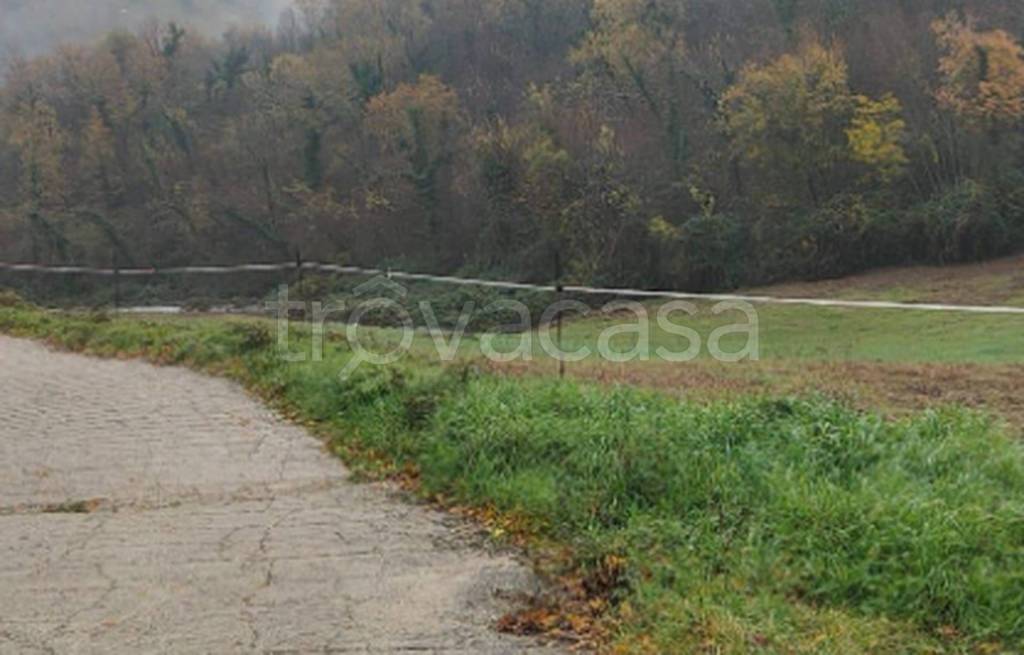 immagine annuncio 5 di 9