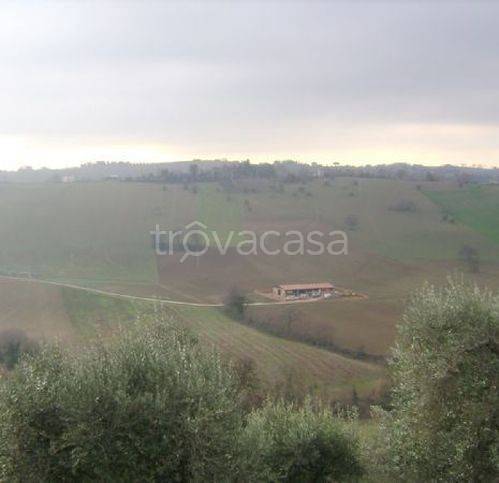 immagine annuncio 4 di 6