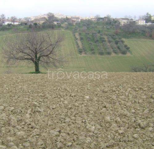 immagine annuncio 5 di 6