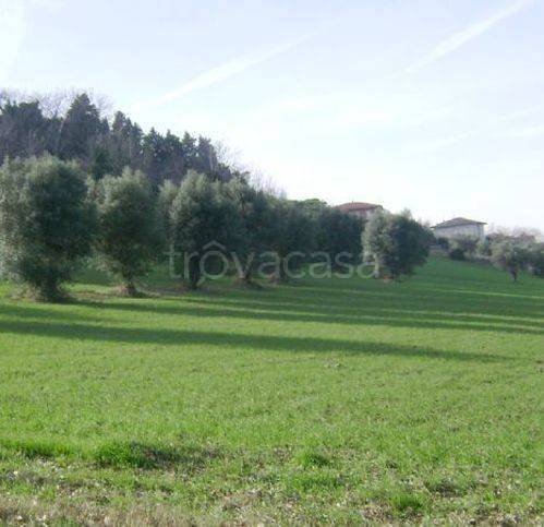 immagine annuncio 4 di 11