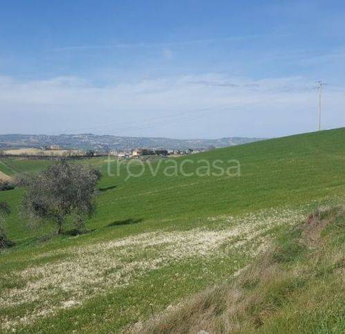 immagine annuncio 3 di 6