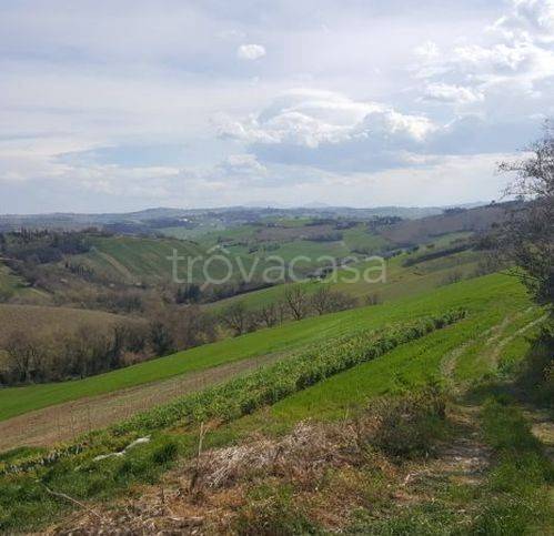 immagine annuncio 4 di 6