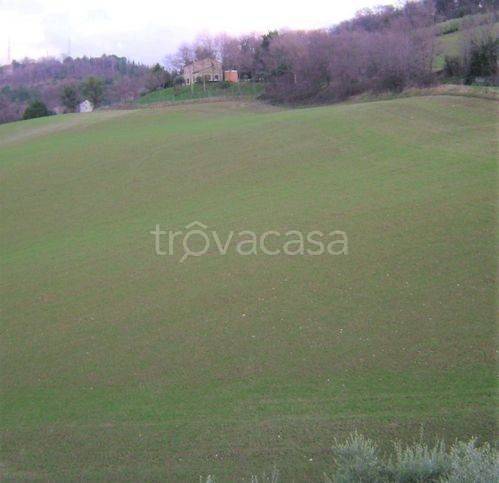 immagine annuncio 4 di 7