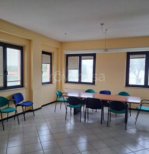 immagine annuncio 2 di 6