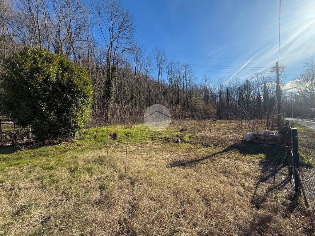 immagine annuncio 2 di 14