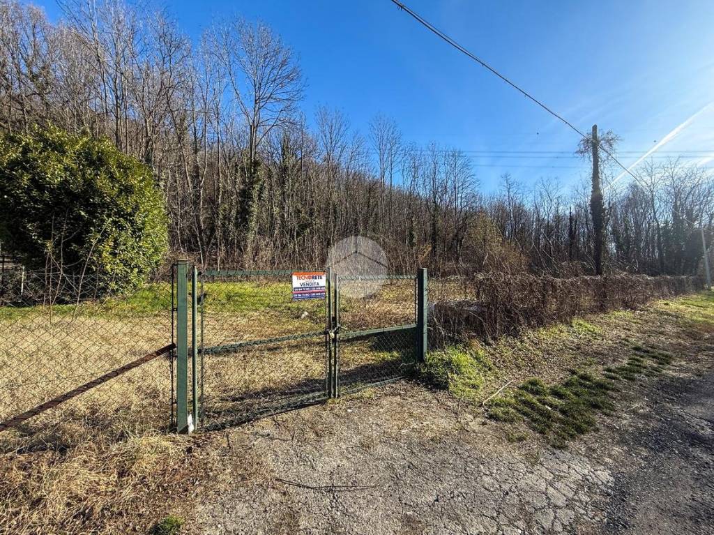 immagine annuncio 3 di 14