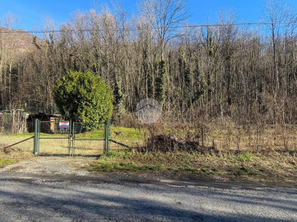 immagine annuncio 6 di 14