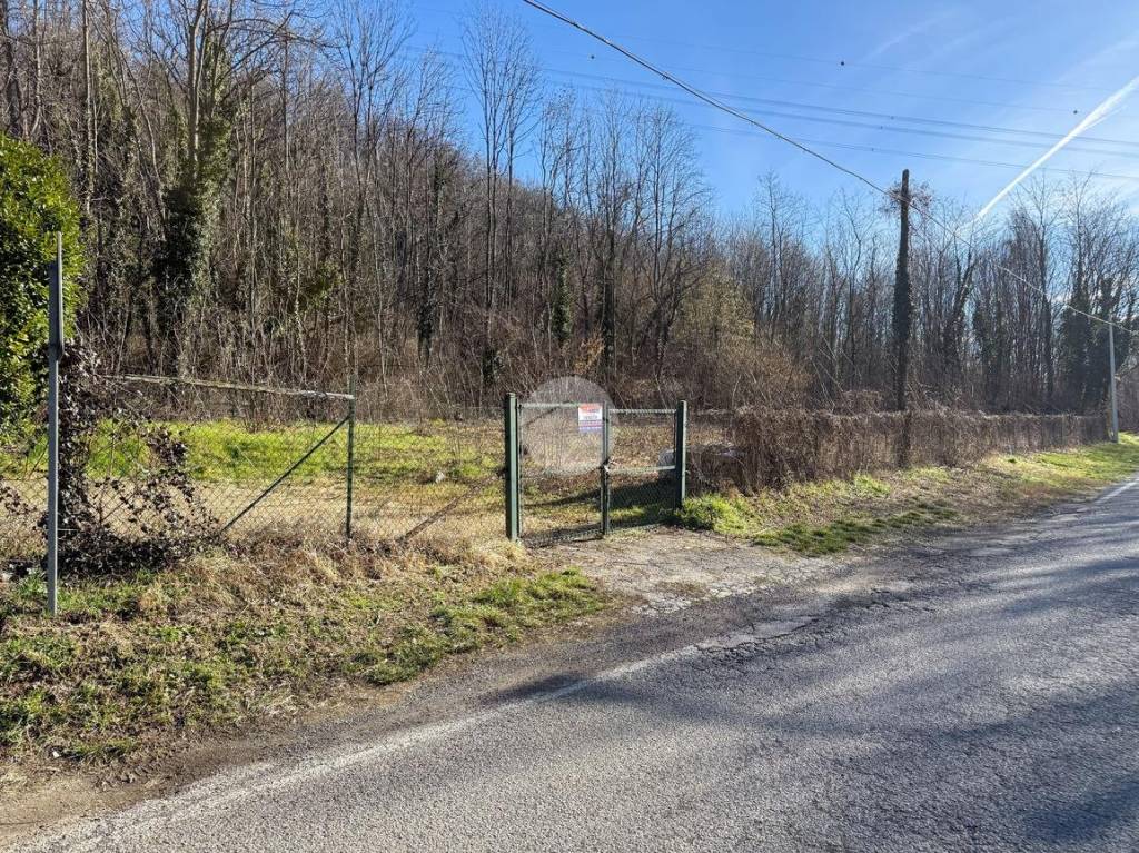 immagine annuncio 8 di 14