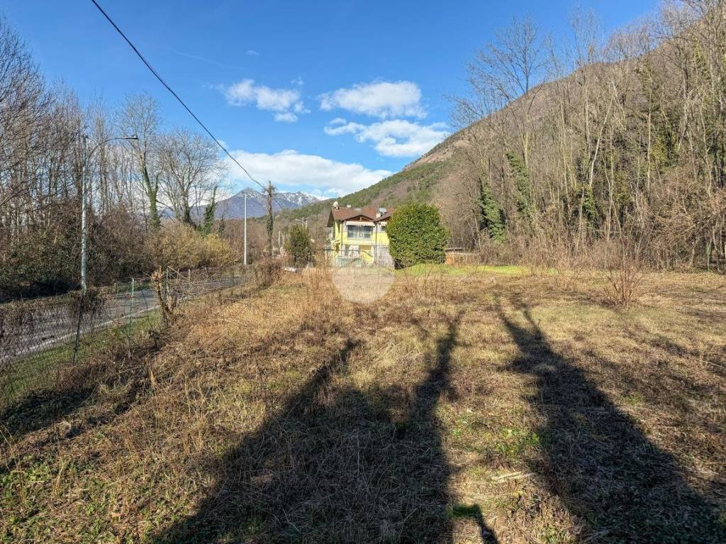 immagine annuncio 12 di 14