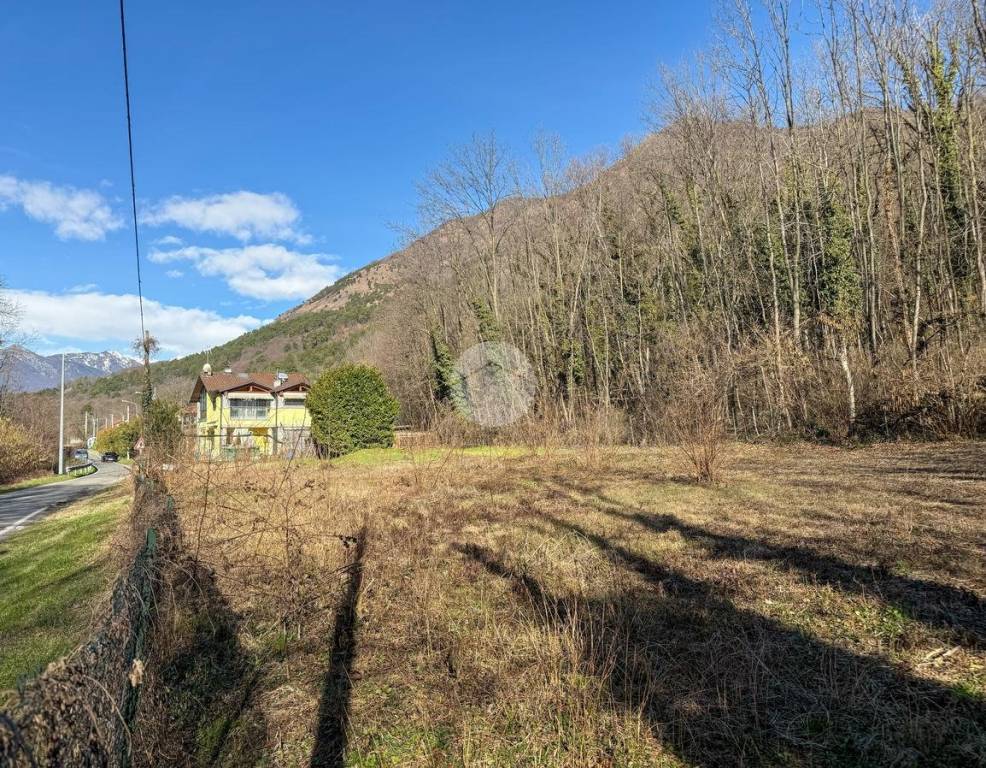 immagine annuncio 13 di 14