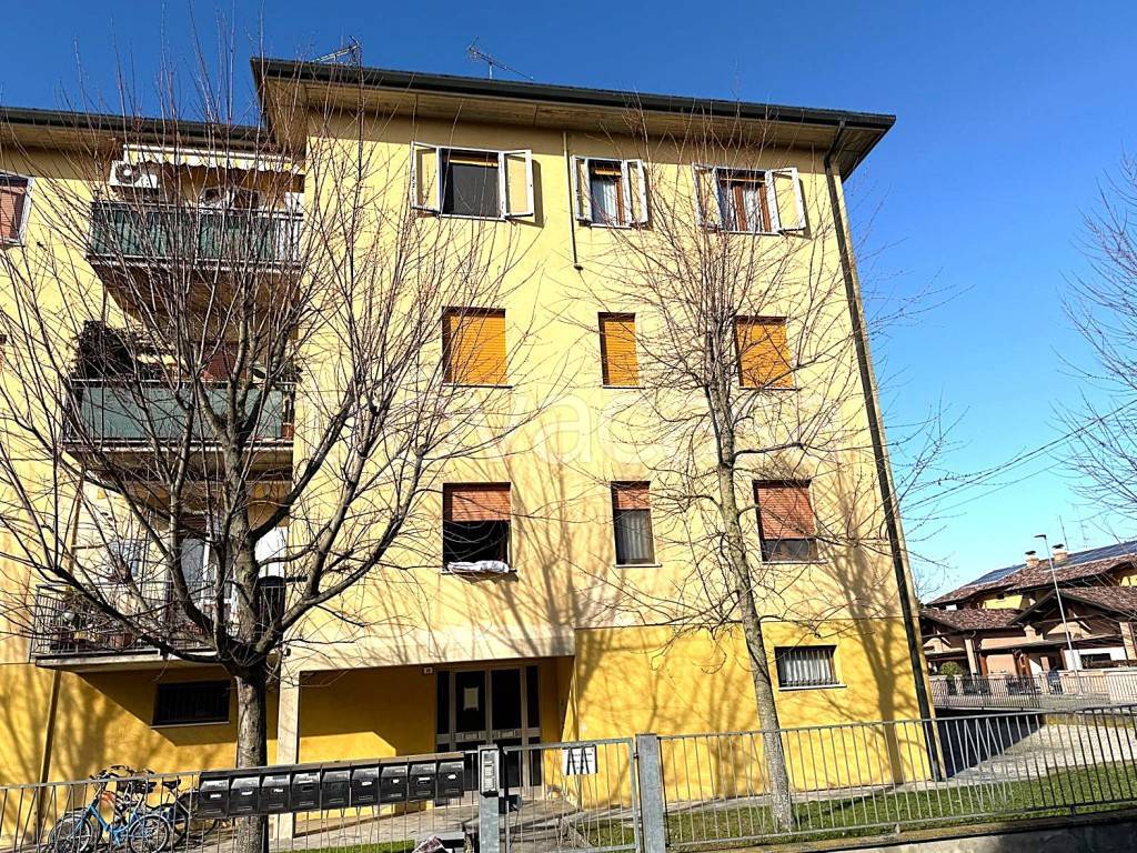 immagine annuncio 2 di 15