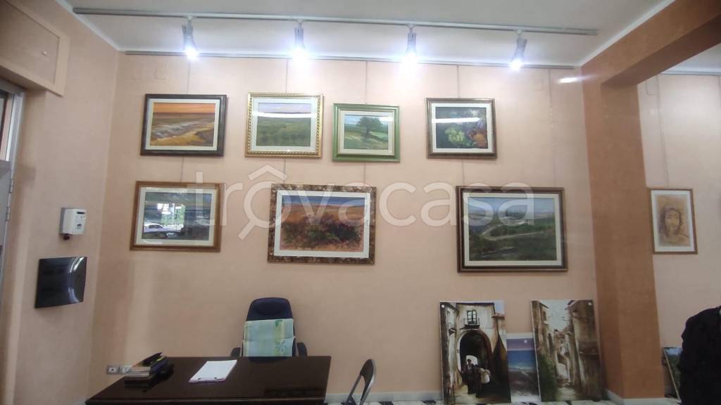 immagine annuncio 4 di 7