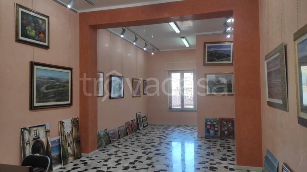 immagine annuncio 2 di 7