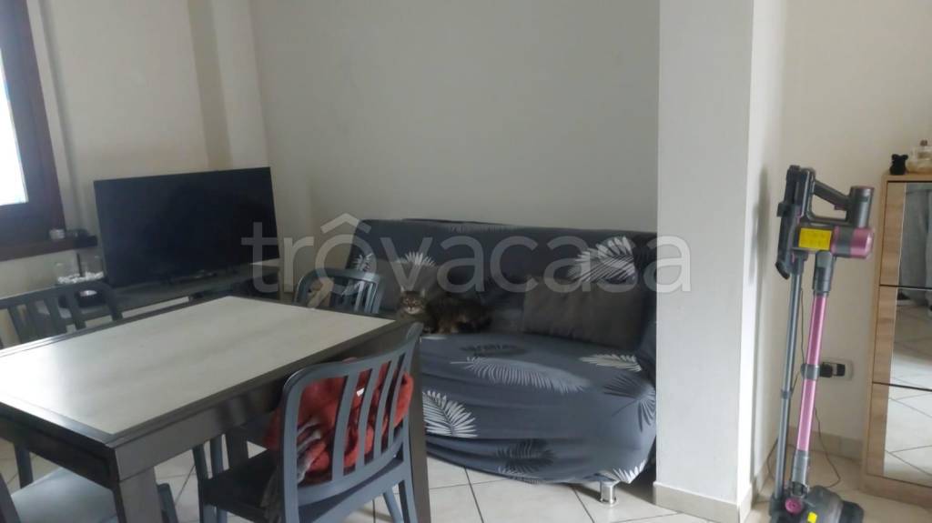 immagine annuncio 2 di 9