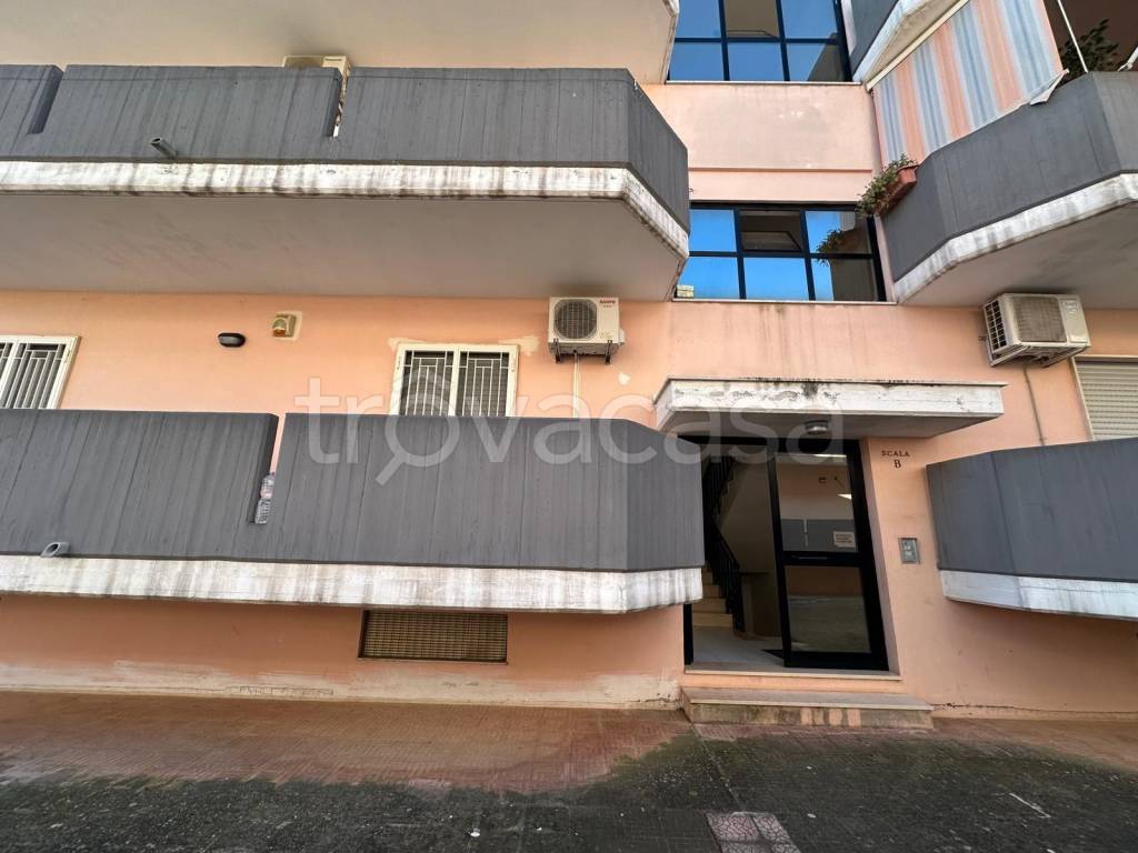 immagine annuncio 11 di 12