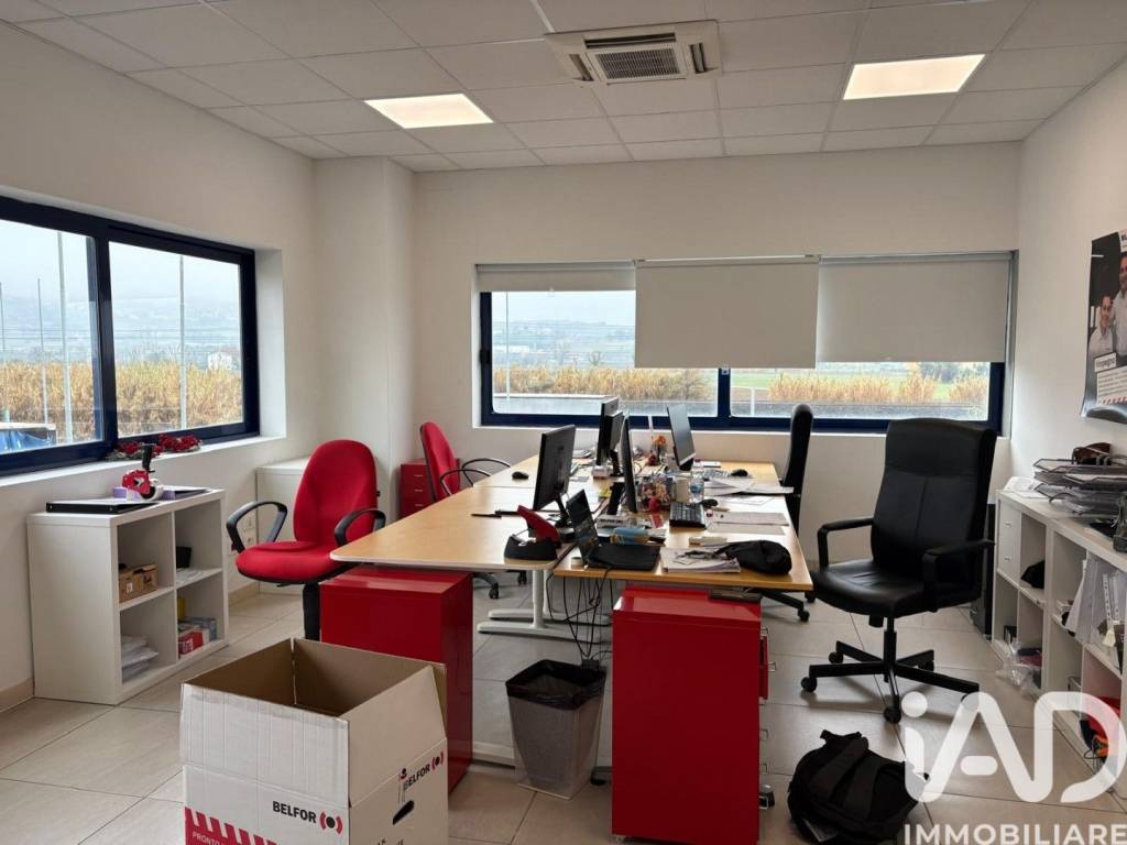 immagine annuncio 5 di 9