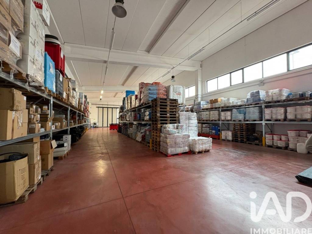 immagine annuncio 6 di 9