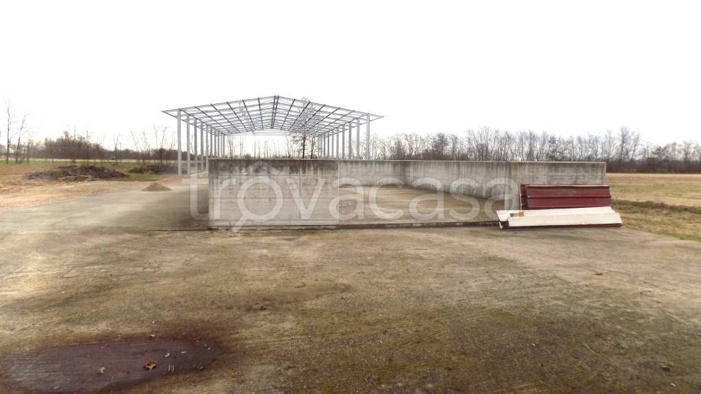 immagine annuncio 3 di 9