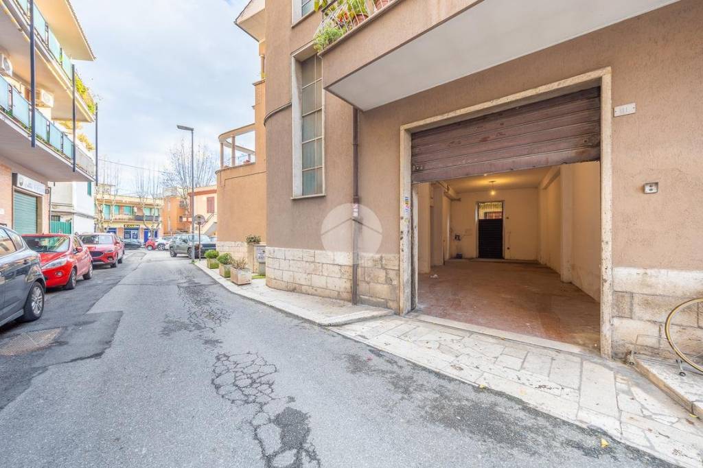 immagine annuncio 3 di 14